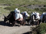 10653_Kailash-Umrundung-Tibet