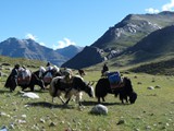 10670_Kailash-Umrundung-Tibet