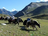 10671_Kailash-Umrundung-Tibet