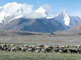 10899_Manasarowar-Pigutso-Tingri-Everest-Tibet