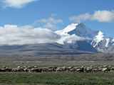 10902_Manasarowar-Pigutso-Tingri-Everest-Tibet