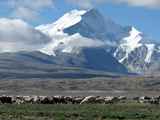 10904_Manasarowar-Pigutso-Tingri-Everest-Tibet