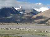 10905_Manasarowar-Pigutso-Tingri-Everest-Tibet