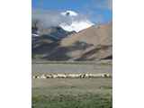 10907_Manasarowar-Pigutso-Tingri-Everest-Tibet