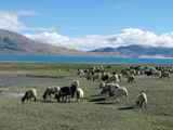 10936_Manasarowar-Pigutso-Tingri-Everest-Tibet