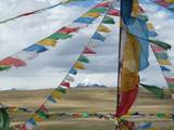 10217_Manasarowarsee-Tibet