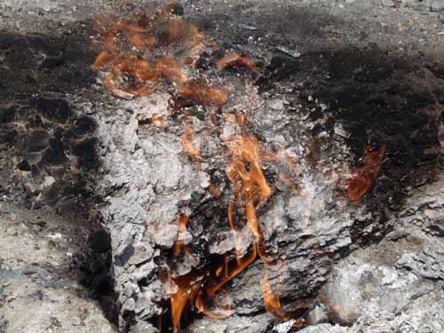 10985-Cirali-Olympos