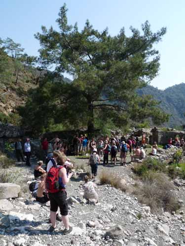 10989-Cirali-Olympos