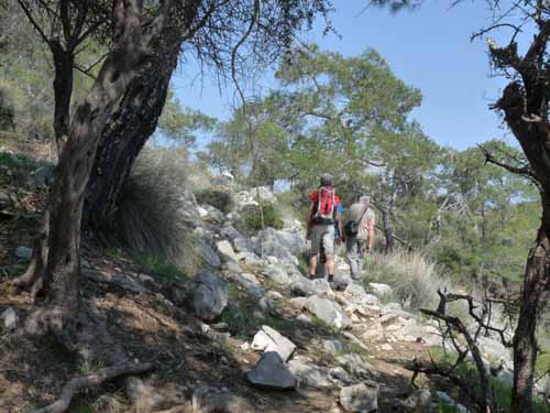 10994-Cirali-Olympos