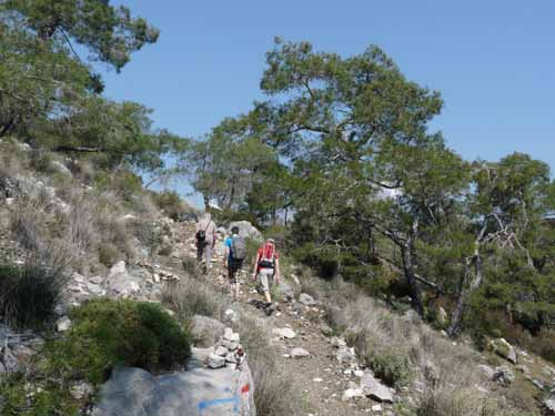 10996-Cirali-Olympos