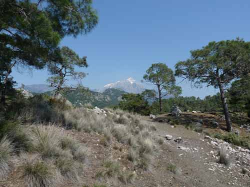 20006-Cirali-Olympos