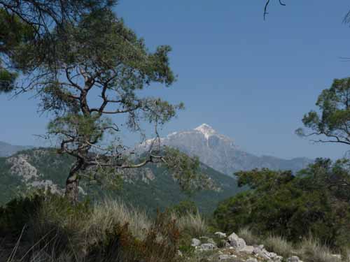 20010-Cirali-Olympos