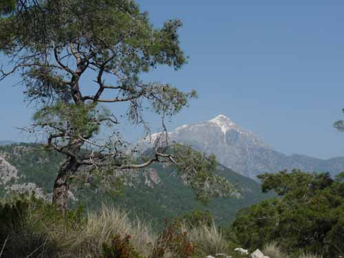 20012-Cirali-Olympos