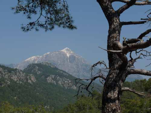 20014-Cirali-Olympos