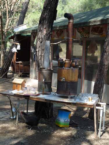 20035-Cirali-Olympos