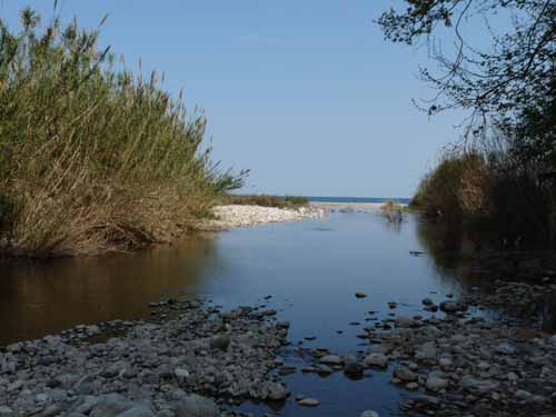20056-Cirali-Olympos