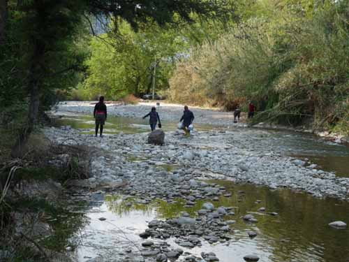 20057-Cirali-Olympos