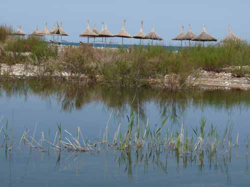 20061-Cirali-Olympos