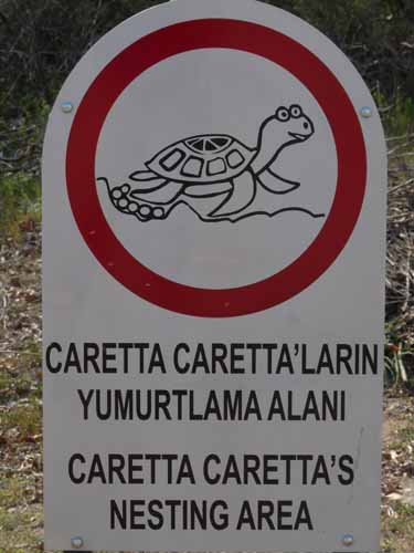 20063-Cirali-Olympos