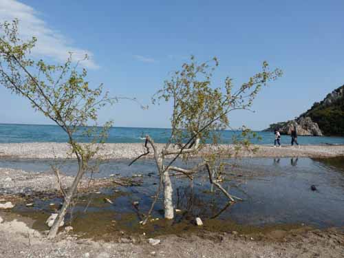 20078-Cirali-Olympos