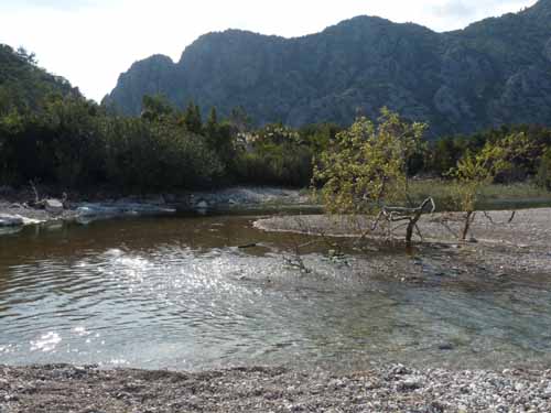20095-Cirali-Olympos