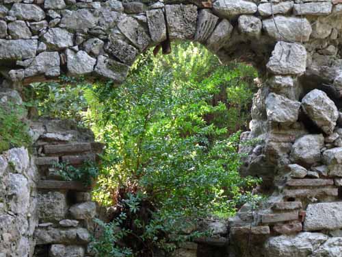 20099-Cirali-Olympos