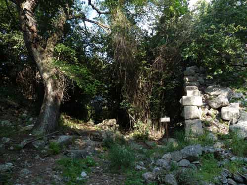 20125-Cirali-Olympos