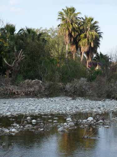 20186-Cirali-Olympos