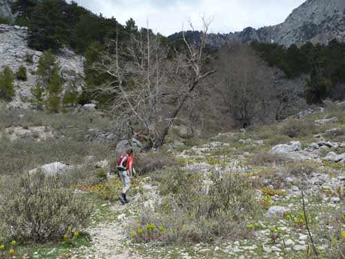 20199-Beycik-Tahtali