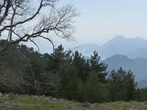 20201-Beycik-Tahtali