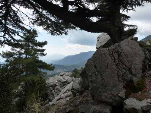 20204-Beycik-Tahtali