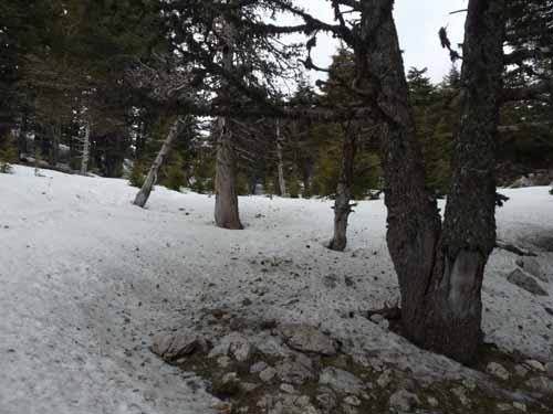 20206-Beycik-Tahtali