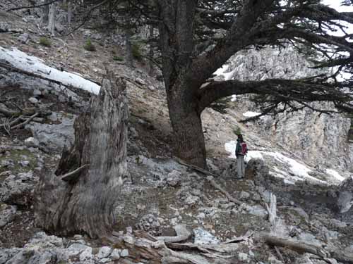 20211-Beycik-Tahtali