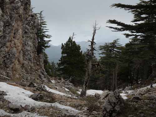 20213-Beycik-Tahtali