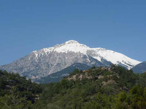 20229-Camyuva-Phaselis