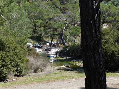 20233-Camyuva-Phaselis