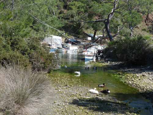 20234-Camyuva-Phaselis