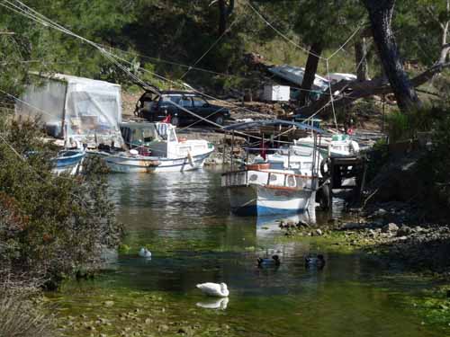 20235-Camyuva-Phaselis