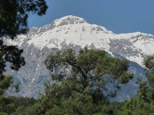 20239-Camyuva-Phaselis