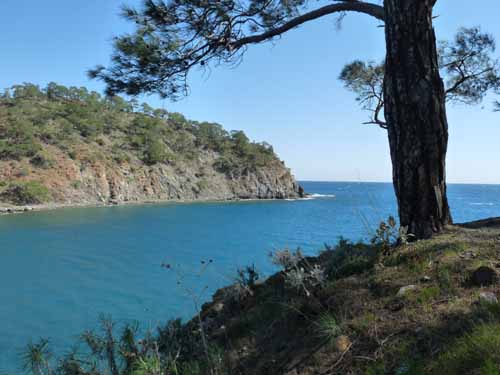 20241-Camyuva-Phaselis