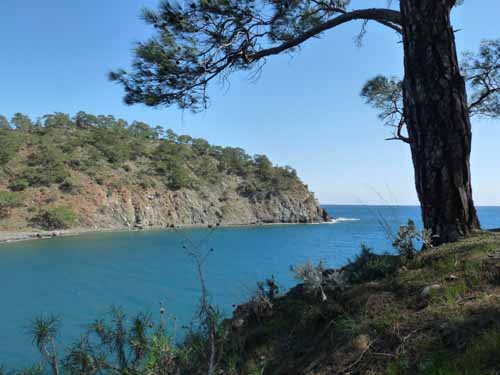 20242-Camyuva-Phaselis