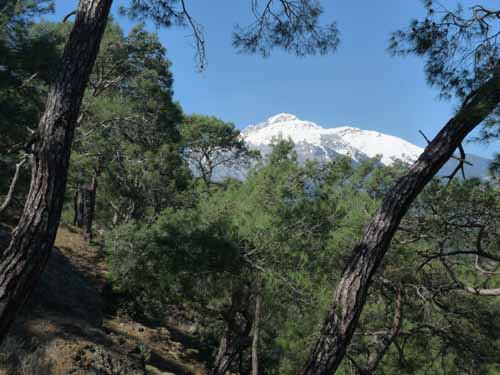 20245-Camyuva-Phaselis