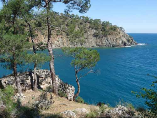 20248-Camyuva-Phaselis