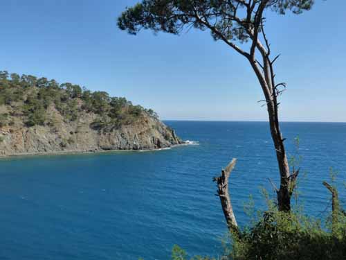 20249-Camyuva-Phaselis