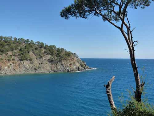 20250-Camyuva-Phaselis