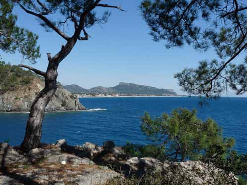 20254-Camyuva-Phaselis