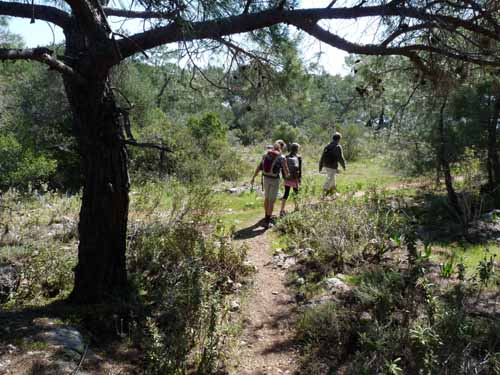 20272-Camyuva-Phaselis