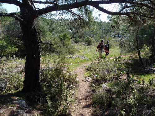 20273-Camyuva-Phaselis