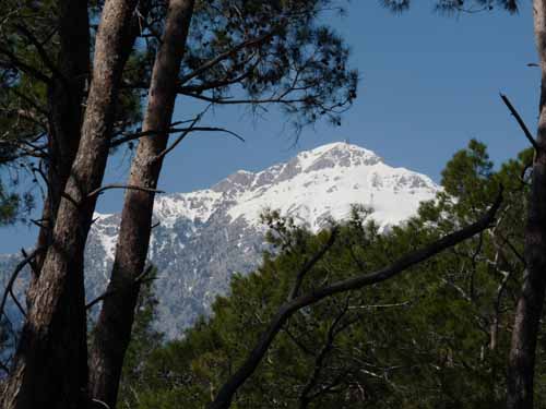 20274-Camyuva-Phaselis