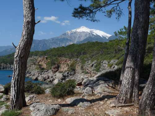 20279-Camyuva-Phaselis